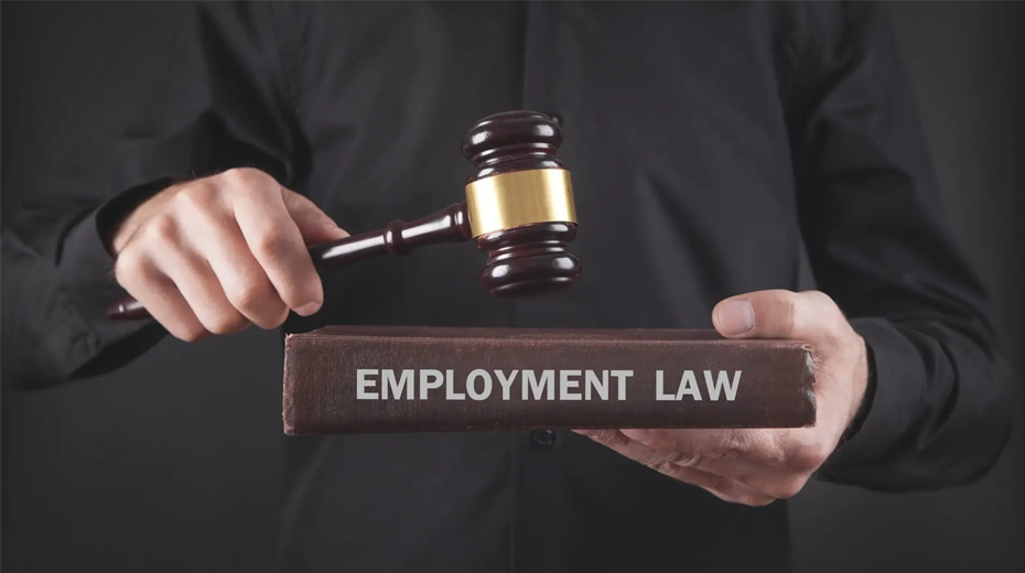Employment Law and Regulatory Compliance