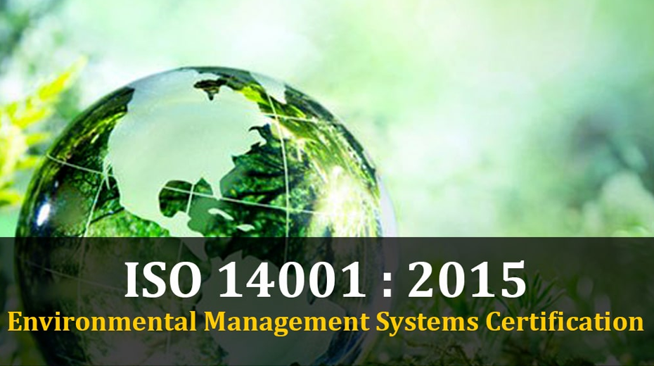 EMS Internal Auditor