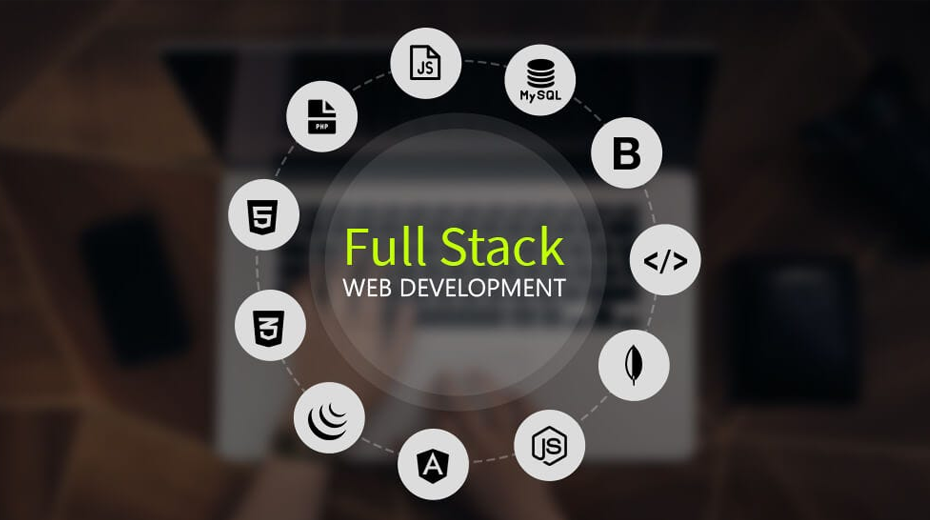 Professional Full Stack Web Developer Certification